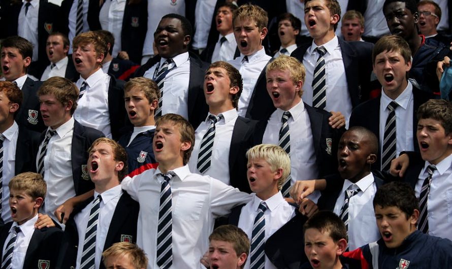 Купить диплом института в Оленино